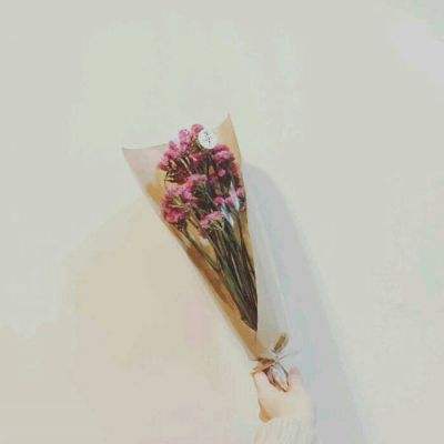 果盘我的女神olbt版下载